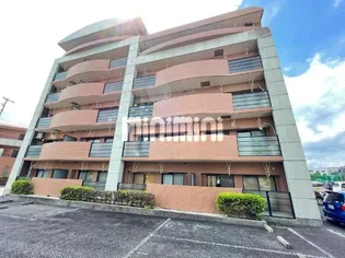 CASA ELEVATOの画像