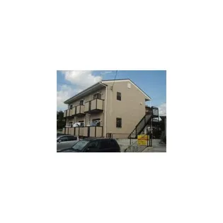 エヴァーグリーンの画像