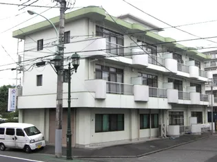 サニーフジミの画像