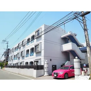 エトワール ブルーの画像