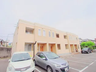 セリシールの画像