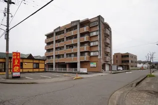 カーサー アレグラの画像