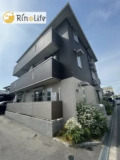 セッテの画像