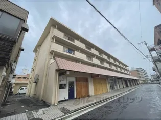 アルファコートの画像