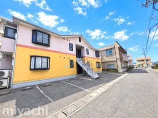 徳島県徳島市川内町上別宮南【アパート】の外観