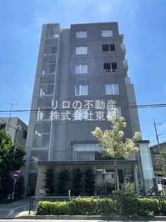 グレイスコンチェルトの画像