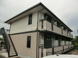 プリメーラの画像