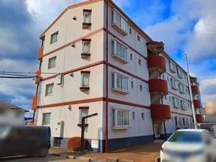 カーサたもの木の画像