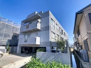 カサグレイズの画像