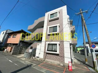ルネサンス新屋敷【2階】の外観