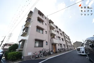 サンハイツ高安【4階】の外観