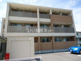 プラシード桜の画像