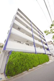 HUMAN RESIDENCEの画像