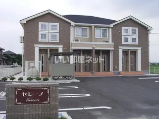 セレーノの画像