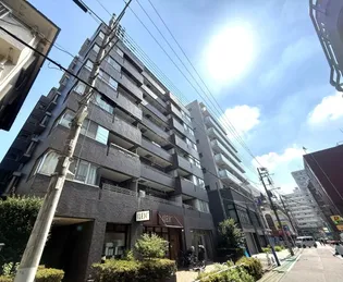 パレス桜の画像