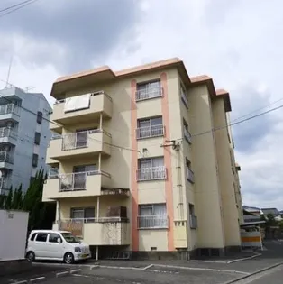 オレンジ横田の画像