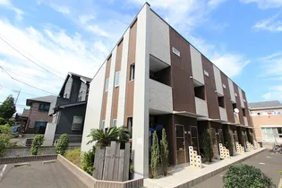 PALMA FORESTAの画像