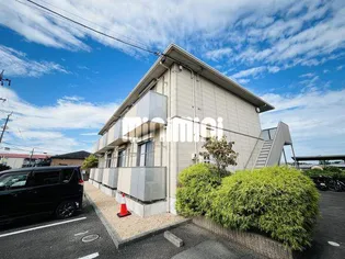 オレンジコートの画像