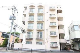 天籟寺川スカイマンションの画像