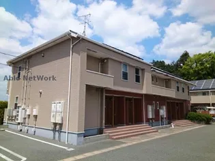 プリムローズBの画像
