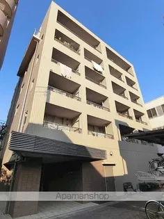ソアールシーノの画像