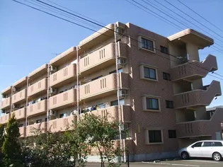 サンシティパレスIMTの画像