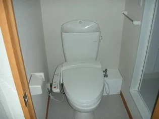 レオパレスピュア【2階】の内装