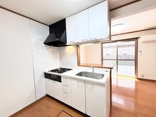 tresor B棟【2階】のキッチン