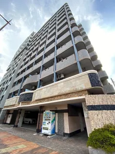 デザイナープリンセス33【8階】の外観