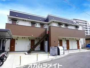 セレーナ中央【1階】の外観