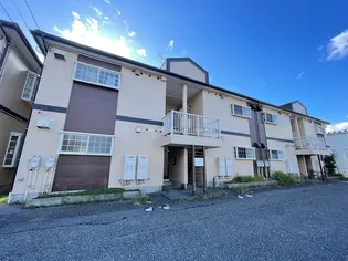 ライム ライトIIの画像