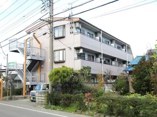 ミクロカストロ平野の画像