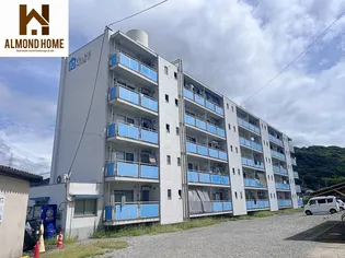 ビレッジハウス林10号棟の画像