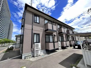 サンフラワー Mの画像