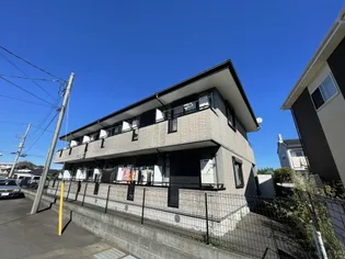 トゥーレサイプレスの画像