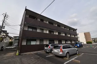 アムールの画像