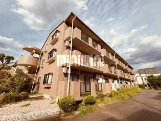 モアクレストの画像