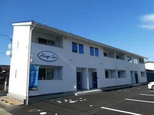 ALWAYS SUN Wの画像