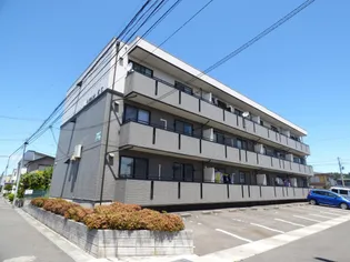 ハイカムール高市の画像