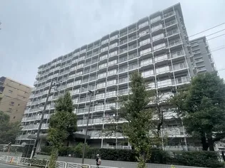 トーア辰巳マンションの画像