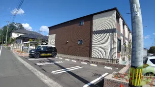 パインヒルズの画像