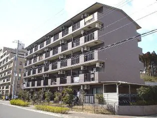ロイヤルアニバーサリー八乙女Iの画像
