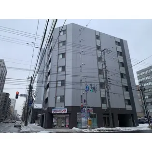 カルフール大通東【7階】の外観