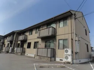 プリムラ奥井の画像