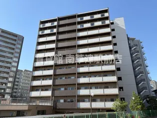 RAINBOW CITY RECの画像