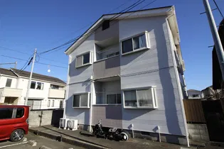 パルシティVIIIの画像