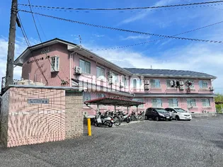 カレッジハイツ中条 A【1階】の外観