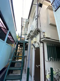 オーク砧の画像