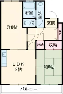 カサド・エムズ【4階】の間取り
