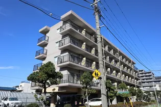 ヤングコート市川【4階】の外観